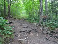 Mt Cardigan NH 2010 0370